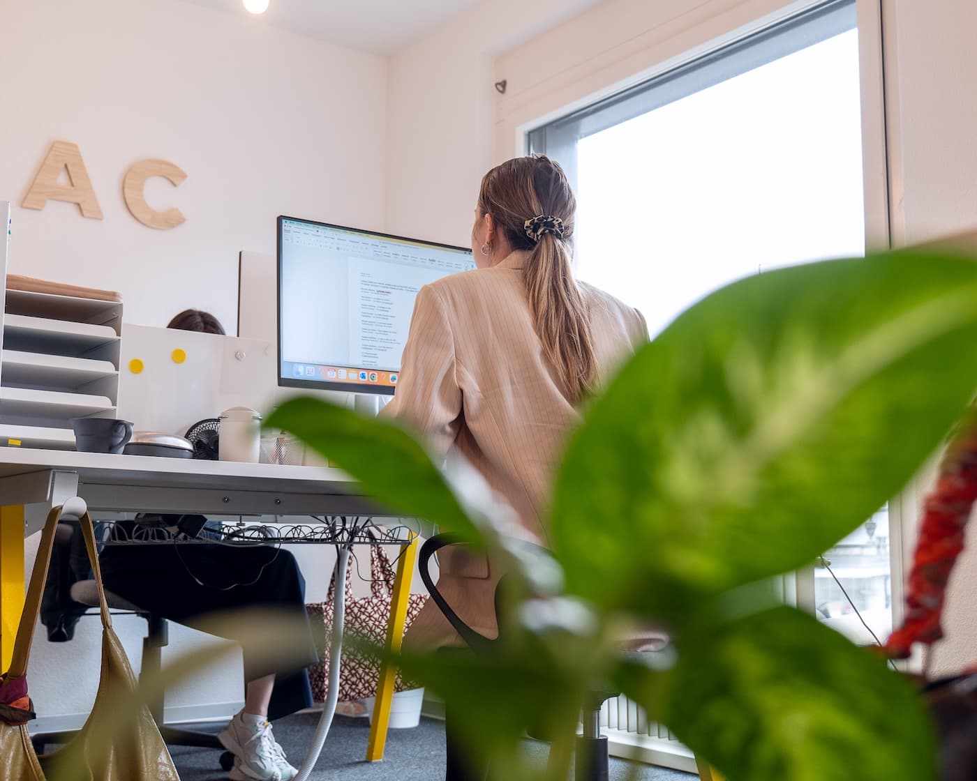Espace de travail et pilotage stratégique, Anorac Studio Fribourg