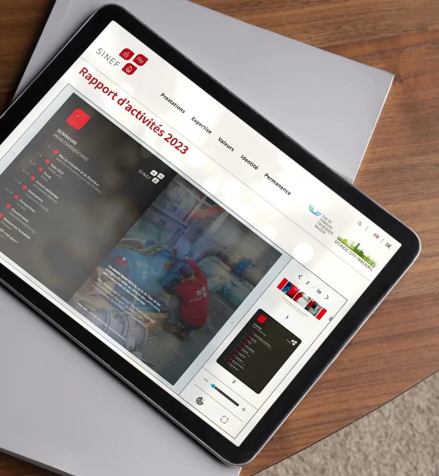 Brochure graphique SINEF SA