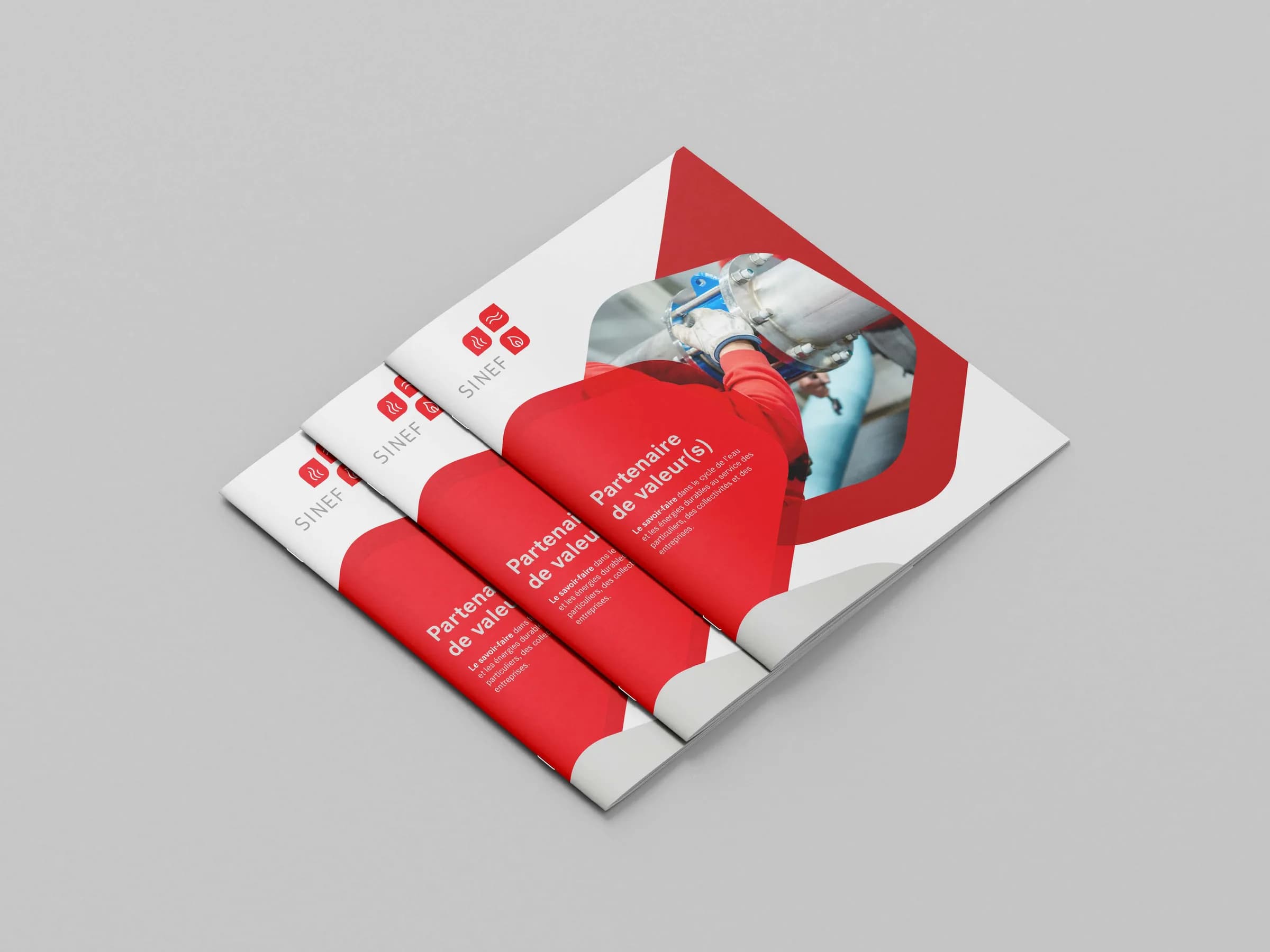 Dépliant graphique interactif SINEF